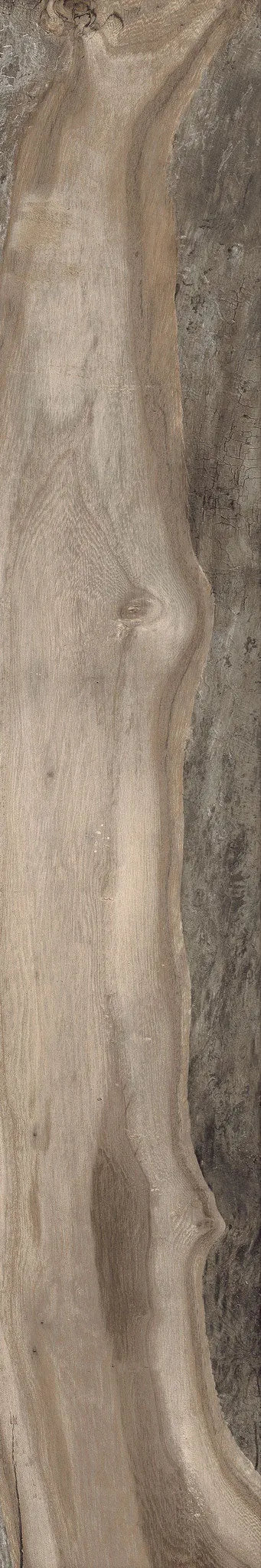 Backwoods-Porcelain-Paramount Flooring-Kentucky Bourbon-KNB Mills