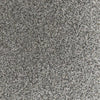 Believer-Broadloom Carpet-Gulistan Floors-G5472 Arctic Air-KNB Mills