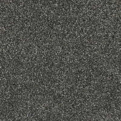 Believer-Broadloom Carpet-Gulistan Floors-G8678 Sophisticated Slate-KNB Mills