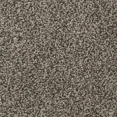 Believer-Broadloom Carpet-Gulistan Floors-G9586 Antique Brown-KNB Mills