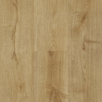 Botanica-Luxury Vinyl Plank-Next Floor-Roasted Sesame-KNB Mills