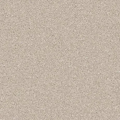 Callaway-Broadloom Carpet-Gulistan Floors-Blanched Almond-KNB Mills