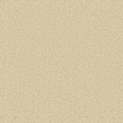 Callaway-Broadloom Carpet-Gulistan Floors-Champagne-KNB Mills