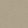 Callaway-Broadloom Carpet-Gulistan Floors-Light Wheat-KNB Mills