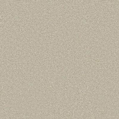 Callaway-Broadloom Carpet-Gulistan Floors-Silver Charm-KNB Mills