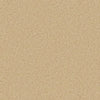 Callaway-Broadloom Carpet-Gulistan Floors-Warm Sand-KNB Mills