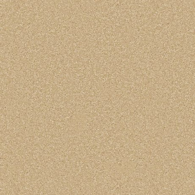 Callaway-Broadloom Carpet-Gulistan Floors-Warm Sand-KNB Mills