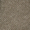 Checkmate-Broadloom Carpet-Marquis Industries-BB003 Macadamia-KNB Mills