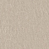 Delta-Broadloom Carpet-Gulistan Floors-Blanched Almond-KNB Mills