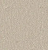 Delta-Broadloom Carpet-Gulistan Floors-Silver Charm-KNB Mills
