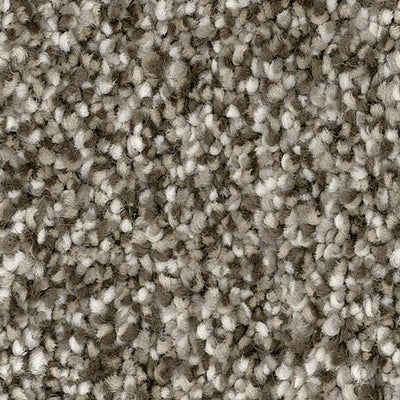 Divine Wind-Broadloom Carpet-Gulistan Floors-Barway-KNB Mills