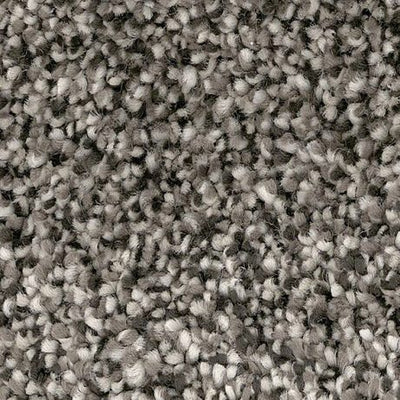 Divine Wind-Broadloom Carpet-Gulistan Floors-Bulkhead-KNB Mills