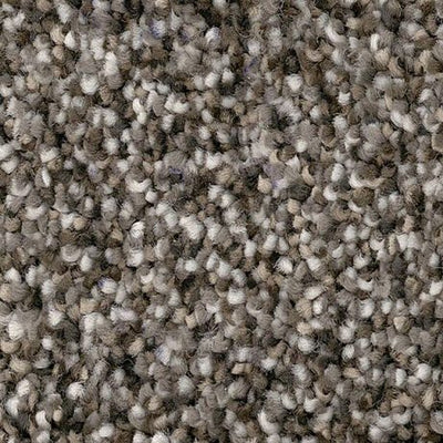 Divine Wind-Broadloom Carpet-Gulistan Floors-Cloisters-KNB Mills
