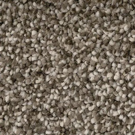 Divine Wind-Broadloom Carpet-Gulistan Floors-Portal-KNB Mills