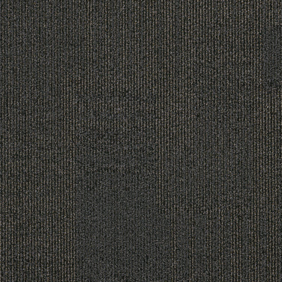 Divvy Tile-Entrance Flooring-Shaw Contract-Trot-KNB Mills