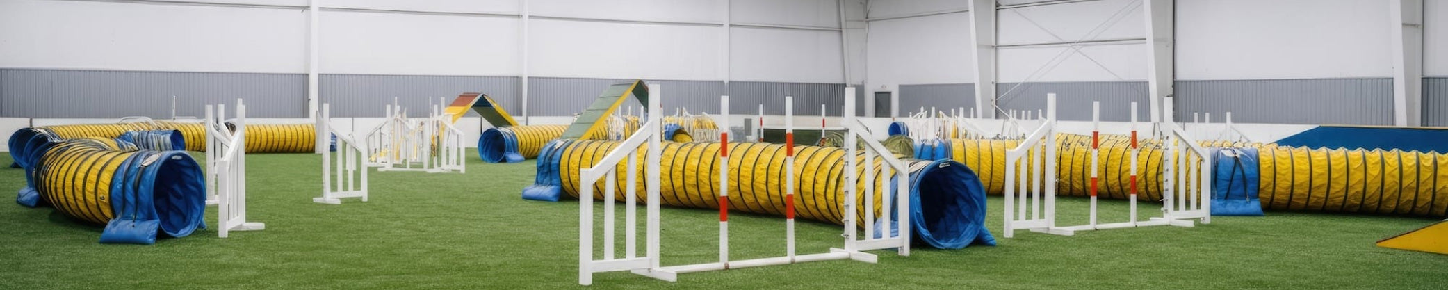 Dog Agility