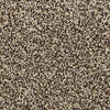Easy Living-Broadloom Carpet-Gulistan Floors-G9361-1.jpg-KNB Mills