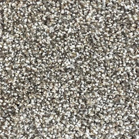 Easy Living-Broadloom Carpet-Gulistan Floors-G9517.jpg-KNB Mills