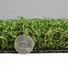 Endless Summer-Synthetic Grass Turf-GrassTex-G-Field/Olive-Silverback- Perforated-1 ⁹⁄₁₆"-KNB Mills