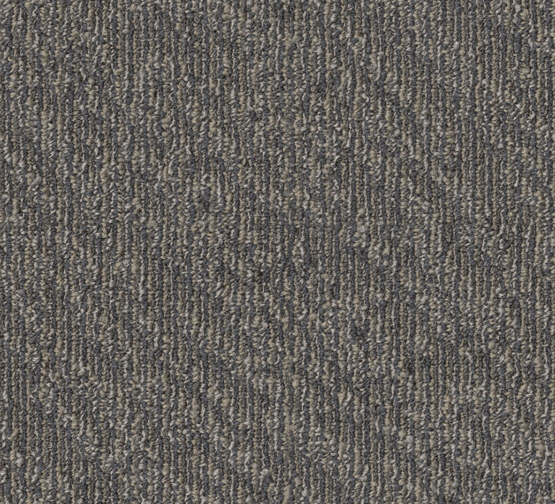 Fond-Broadloom Carpet-Shaw Contract-Vivid-KNB Mills