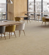 Free Space-Carpet Tile-Milliken-KNB Mills