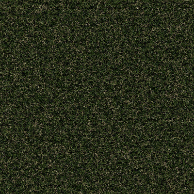 Fresh Rye-Synthetic Grass Turf-Shawgrass-KNB Mills