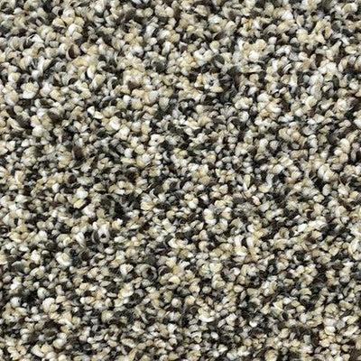 Genesis-Broadloom Carpet-Gulistan Floors-001-KNB Mills