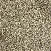 Genesis-Broadloom Carpet-Gulistan Floors-002-KNB Mills