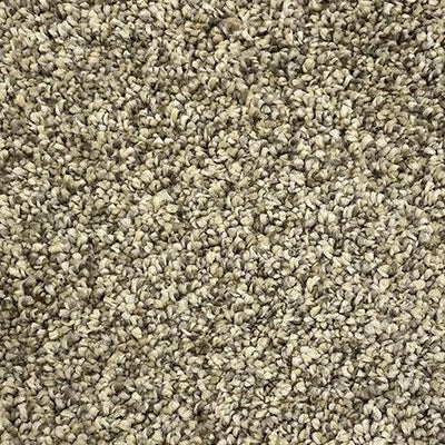 Genesis-Broadloom Carpet-Gulistan Floors-002-KNB Mills