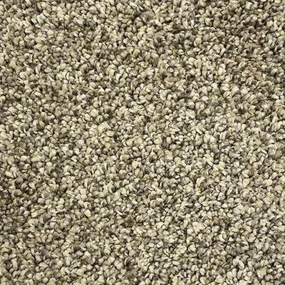 Genesis-Broadloom Carpet-Gulistan Floors-002-KNB Mills