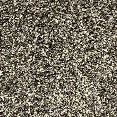 Genesis-Broadloom Carpet-Gulistan Floors-004-KNB Mills