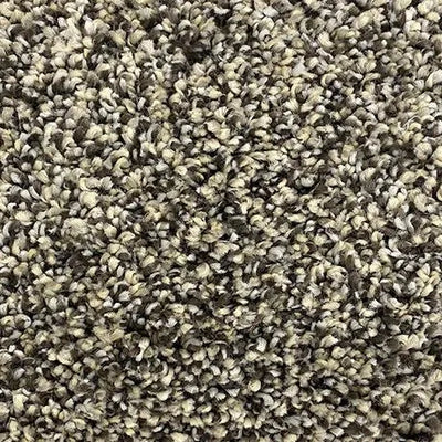 Genesis-Broadloom Carpet-Gulistan Floors-006-KNB Mills