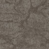 Grounded Spaces-Carpet Tile-Shaw Contract-Earthing Tile 1-KNB Mills