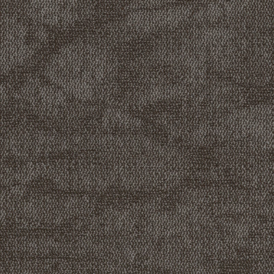 Grounded Spaces-Carpet Tile-Shaw Contract-Earthing Tile 9-KNB Mills