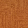 Grounded Spaces-Carpet Tile-Shaw Contract-Grounded Accent Tile 1-KNB Mills