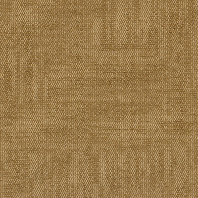 Grounded Spaces-Carpet Tile-Shaw Contract-Grounded Accent Tile 2-KNB Mills