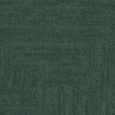 Grounded Spaces-Carpet Tile-Shaw Contract-Grounded Accent Tile 5-KNB Mills