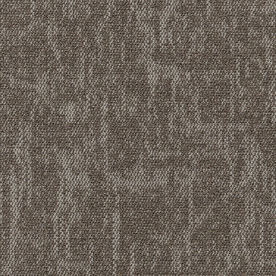 Grounded Spaces-Carpet Tile-Shaw Contract-Manifest Tile 2-KNB Mills
