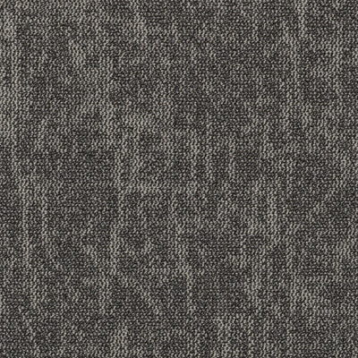 Grounded Spaces-Carpet Tile-Shaw Contract-Manifest Tile 4-KNB Mills