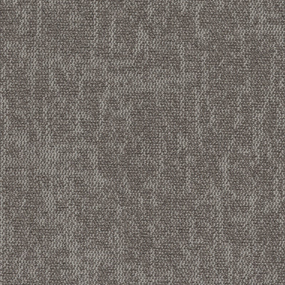 Grounded Spaces-Carpet Tile-Shaw Contract-Manifest Tile 6-KNB Mills