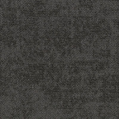 Grounded Spaces-Carpet Tile-Shaw Contract-Presence Tile 10-KNB Mills