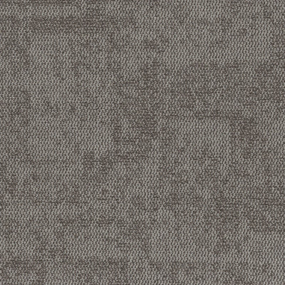 Grounded Spaces-Carpet Tile-Shaw Contract-Presence Tile 3-KNB Mills