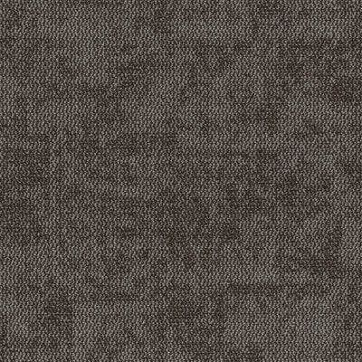 Grounded Spaces-Carpet Tile-Shaw Contract-Presence Tile 9-KNB Mills