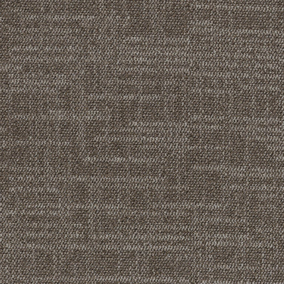 Grounded Spaces-Carpet Tile-Shaw Contract-Stillness Tile 2-KNB Mills