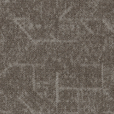 Grounded Spaces-Carpet Tile-Shaw Contract-Visualize Tile 1-KNB Mills