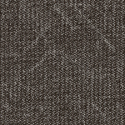 Grounded Spaces-Carpet Tile-Shaw Contract-Visualize Tile 9-KNB Mills