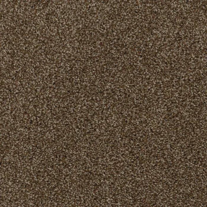 High Five-Broadloom Carpet-Earthwerks-High Five Beach Day-KNB Mills