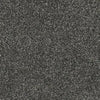 Homecoming Queen-Broadloom Carpet-Gulistan Floors-001-KNB Mills