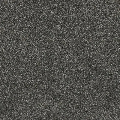 Homecoming Queen-Broadloom Carpet-Gulistan Floors-001-KNB Mills