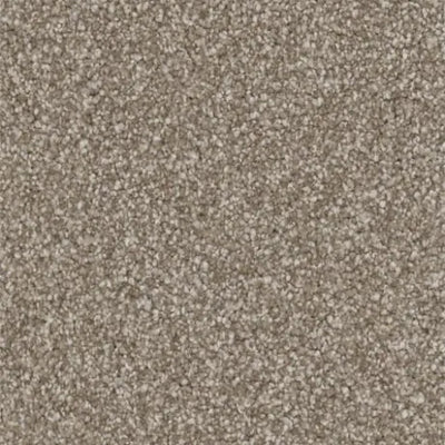 Homecoming Queen-Broadloom Carpet-Gulistan Floors-005-KNB Mills